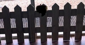 Picket Fencing 2,4m (L) x 60cm (H)